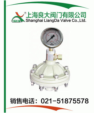 PP、PVDF脈沖阻尼器
